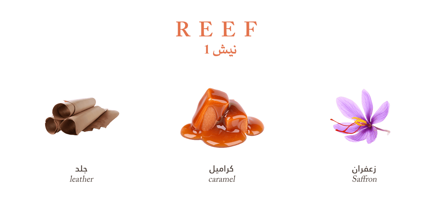 Reef Niche #1