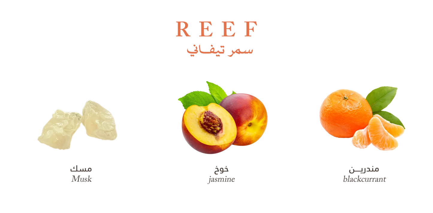Reef Summer TIFFANY