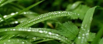 (CANDLES) Butt Naked