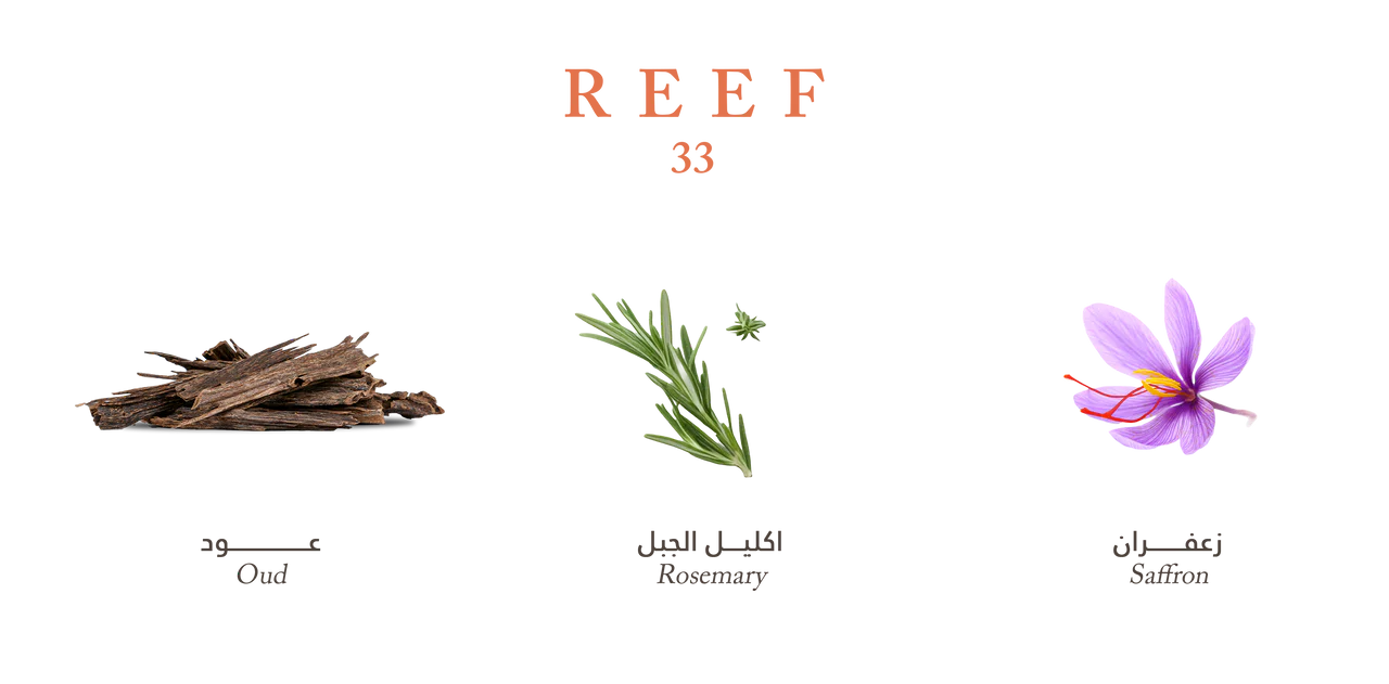 Reef #33
