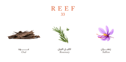 Reef #33