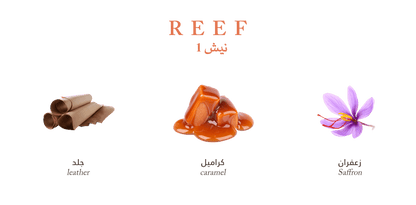 Reef Niche #1